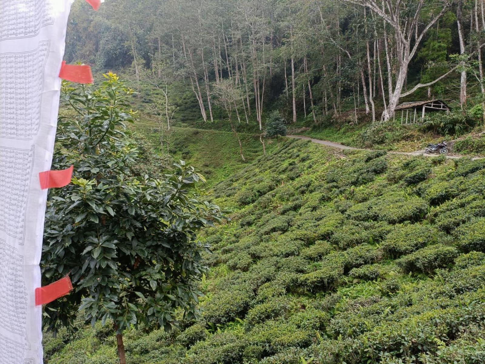 Dsd Bomzon Homestay ดาร์จีลิง ภายนอก รูปภาพ